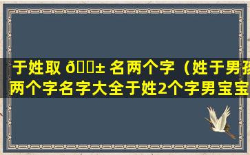 于姓取 🐱 名两个字（姓于男孩两个字名字大全于姓2个字男宝宝起名）